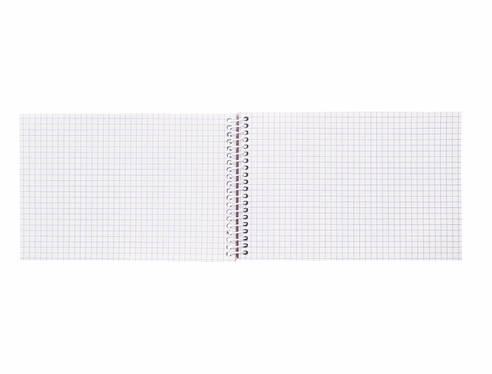 CUADERNO ESPIRAL LIDERPAPEL BOLSILLO DIECISEIAVO APAISADO WITTY TAPA DURA DURA 80H 60GR CUADRO 4 MM COLORES SURTIDOS