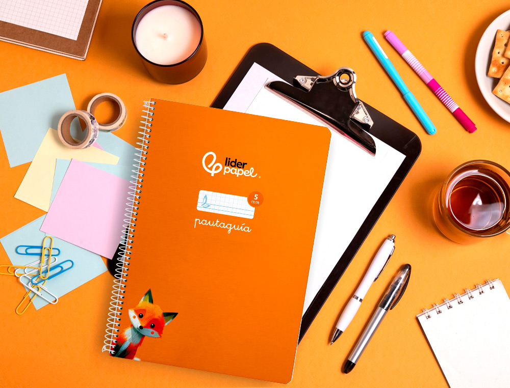 CUADERNO ESPIRAL LIDERPAPEL A4 PAUTAGUIA TAPA BLANDA 80H 75GR CUADRO PAUTADO 5MM COLOR NARANJA