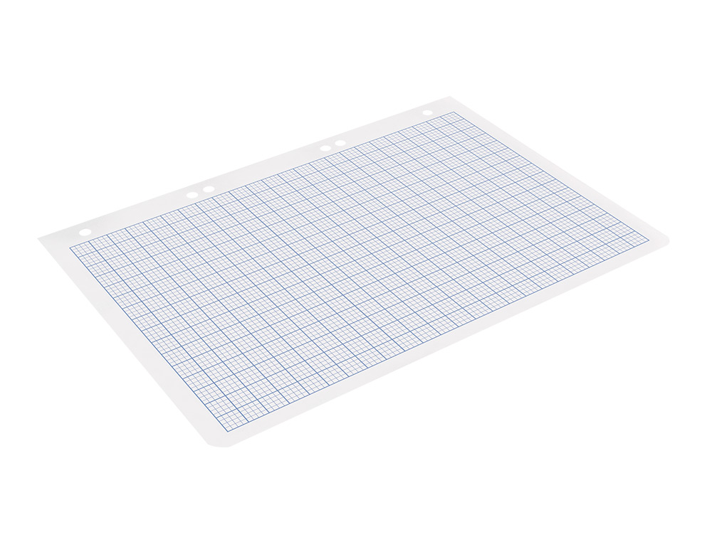 RECAMBIO LIDERPAPEL DIN A5 100 HOJAS 75G/M2 RAYADO N 46 6 TALADROS