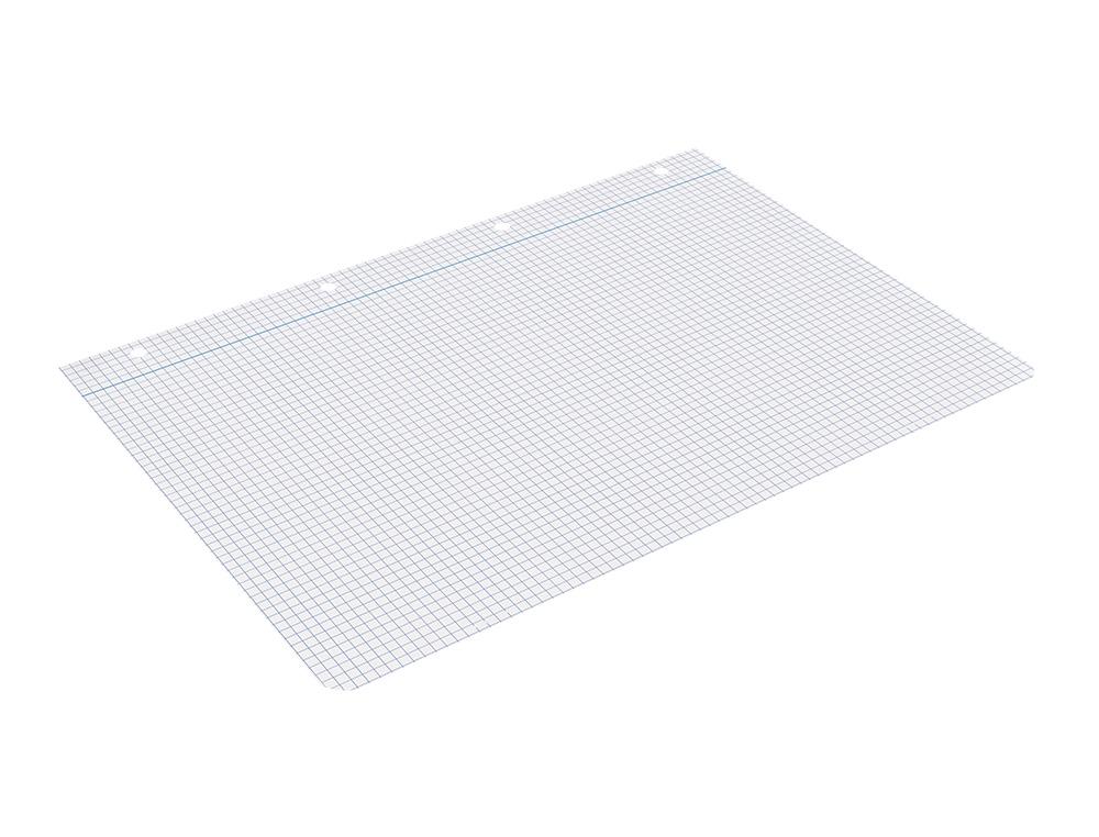 RECAMBIO LIDERPAPEL A4 80 HOJAS 75GR CUADRO 4 MM CON MARGEN 4 TALADROS