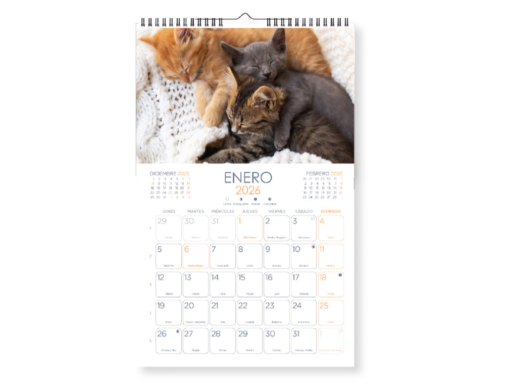CALENDARIO ESPIRAL PARED LIDERPAPEL IMAGENES GATOS 2026 PARA ESCRIBIR 25X40 CM PAPEL 157 GR