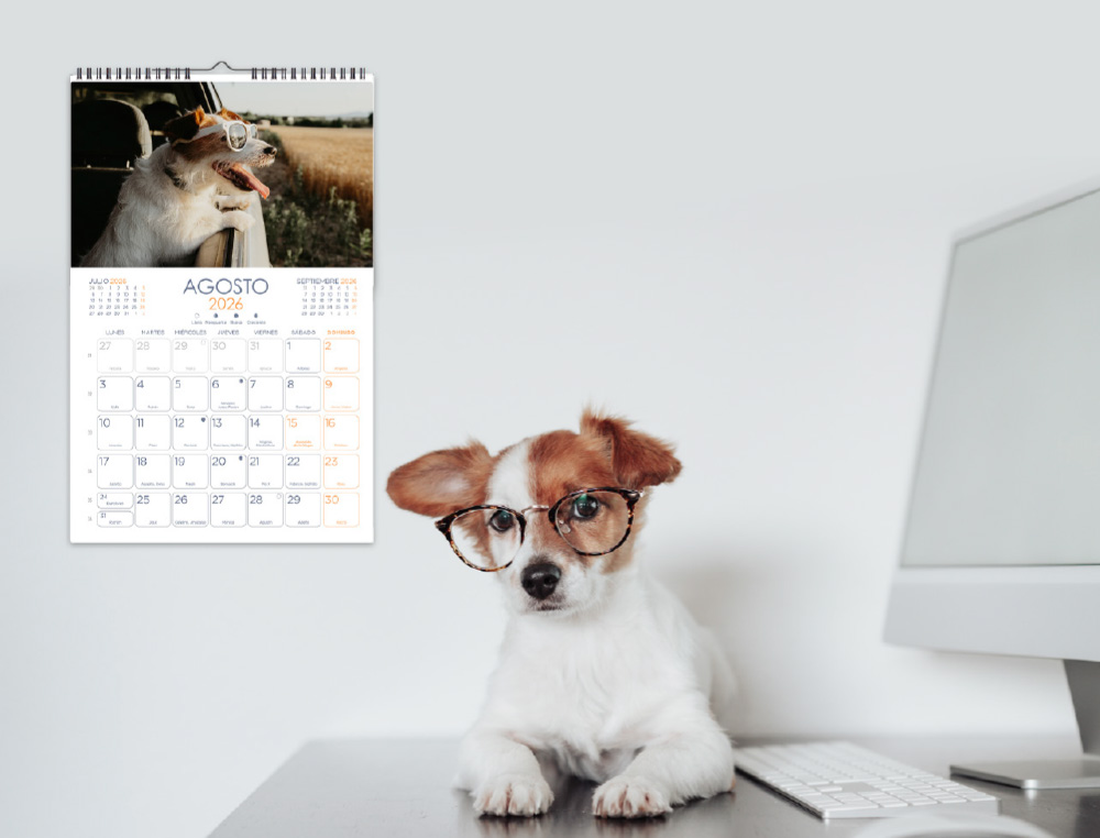 CALENDARIO ESPIRAL PARED LIDERPAPEL IMAGENES GATOS 2026 PARA ESCRIBIR 25X40 CM PAPEL 157 GR