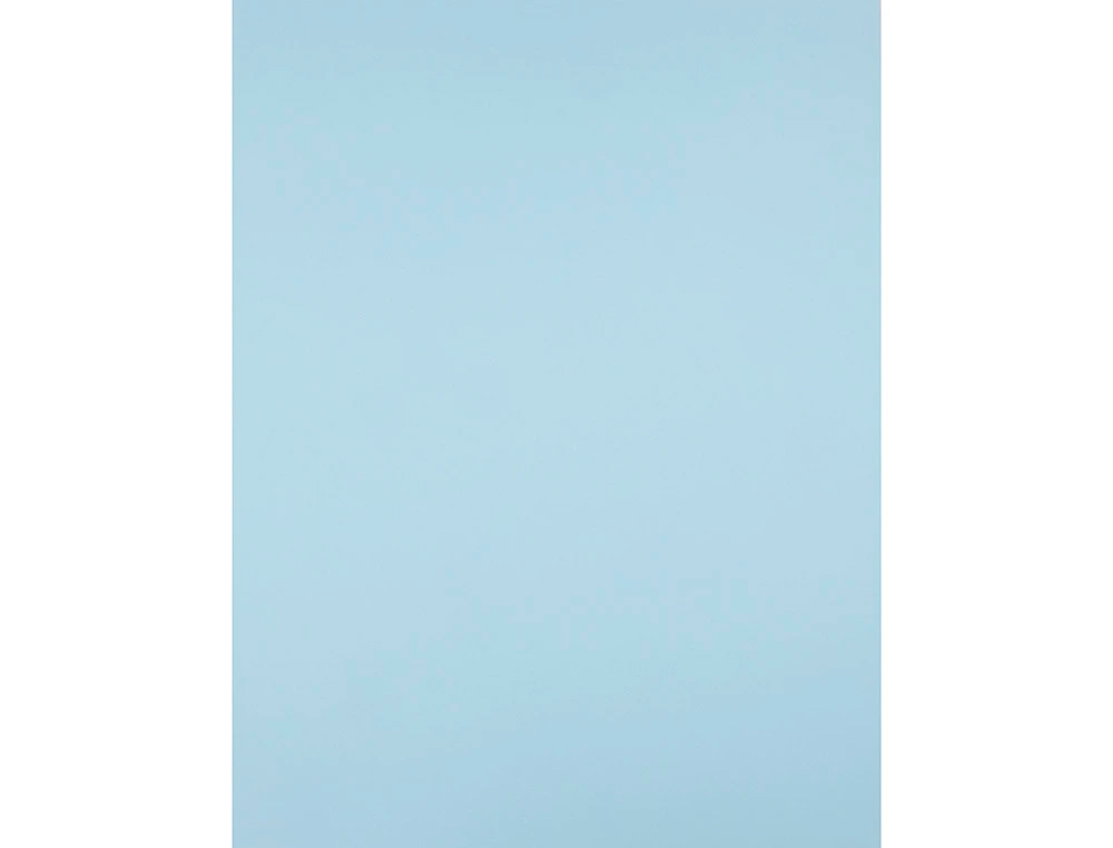 CARTULINA LIDERPAPEL 50X65 CM 180G/M2 AZUL