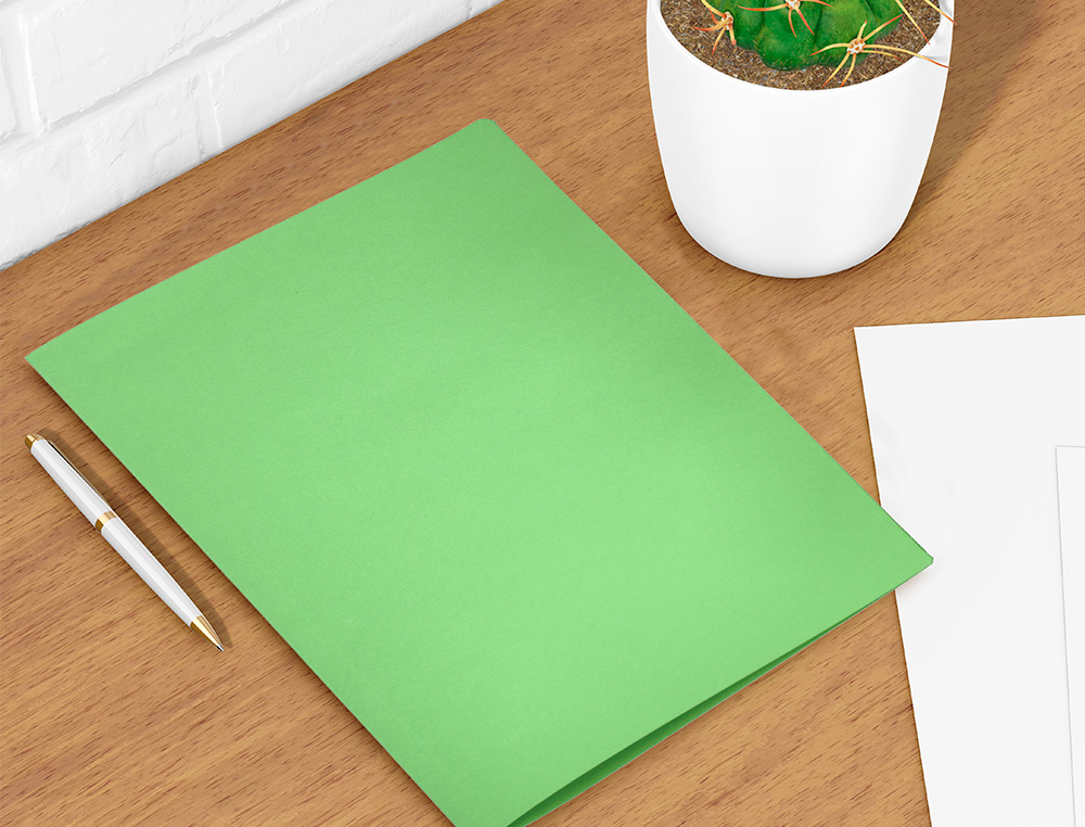 SUBCARPETA LIDERPAPEL FOLIO VERDE INTENSO 180G/M2
