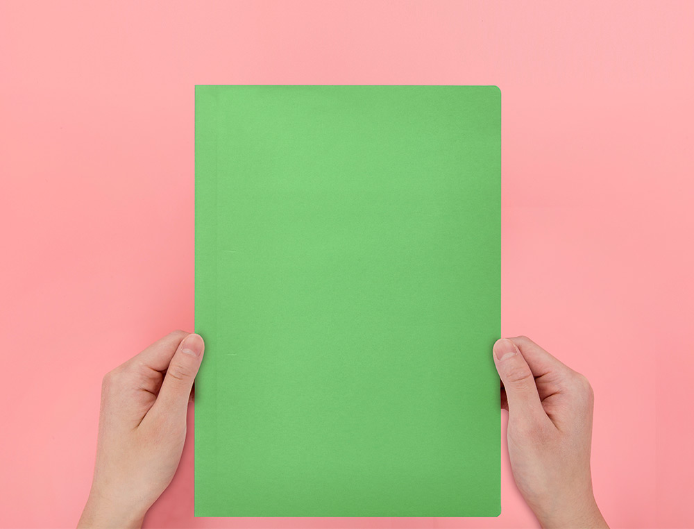 SUBCARPETA LIDERPAPEL FOLIO VERDE INTENSO 180G/M2