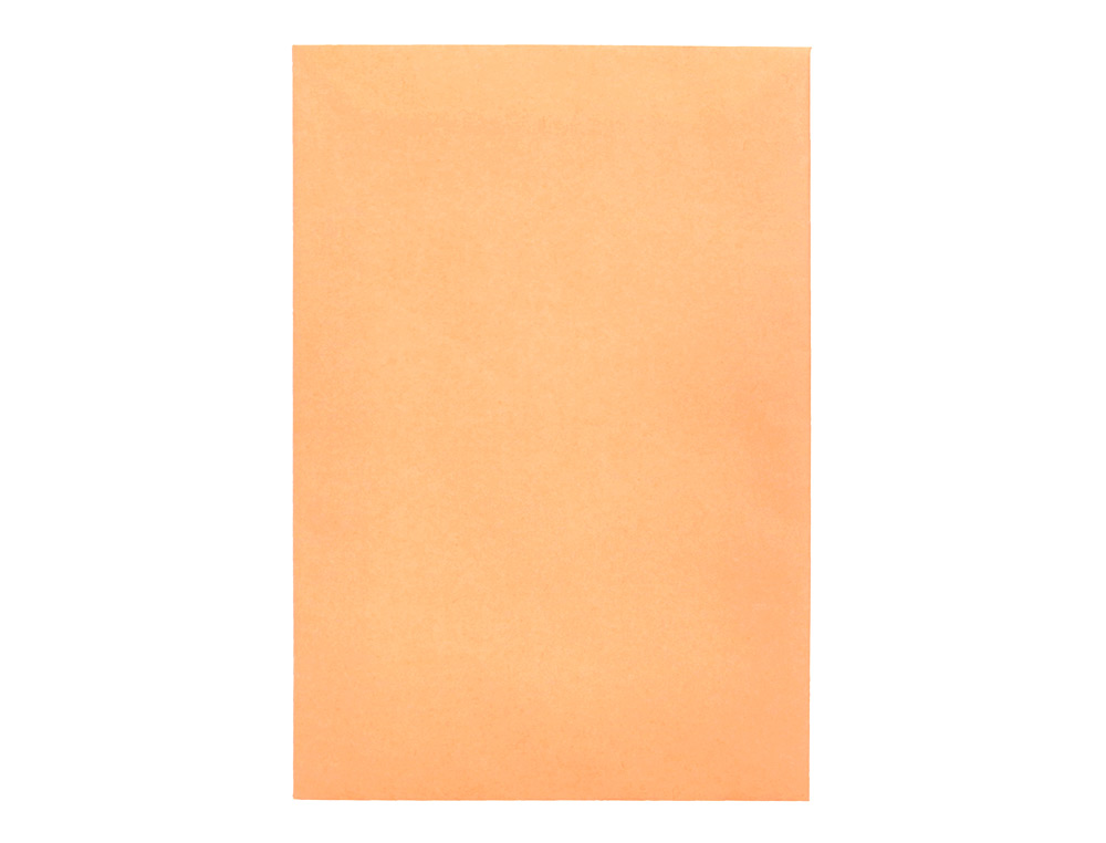 SOBRE LIDERPAPEL BOLSA N.0 CEL CAÑA SALARIOS 100X145MM TIRA SILICONA CAJA DE 1000 UNIDADES