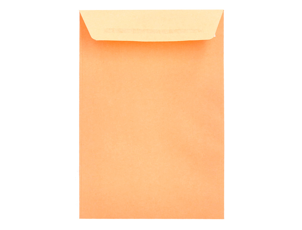 SOBRE LIDERPAPEL BOLSA N.0 CEL CAÑA SALARIOS 100X145MM TIRA SILICONA CAJA DE 1000 UNIDADES