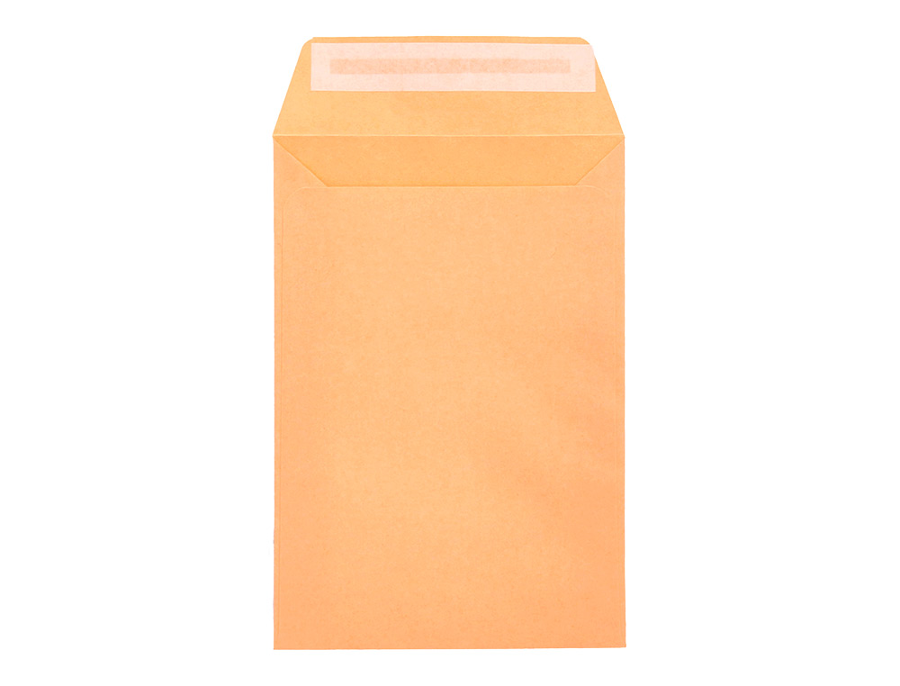 SOBRE LIDERPAPEL BOLSA N.0 CEL CAÑA SALARIOS 100X145MM TIRA SILICONA CAJA DE 1000 UNIDADES
