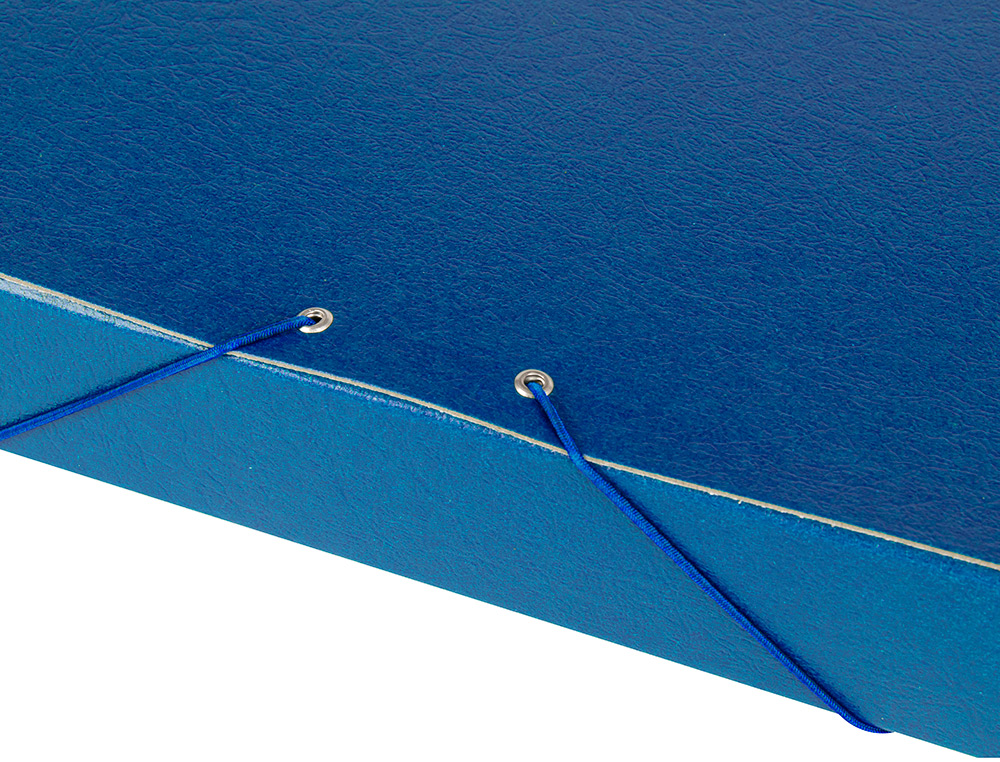 CARPETA PROYECTOS LIDERPAPEL FOLIO LOMO 50MM CARTON GOFRADO AZUL