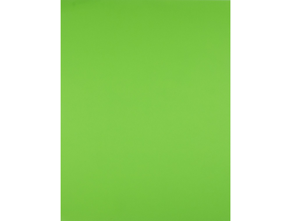CARTULINA LIDERPAPEL 50X65 CM 240G/M2 VERDE HIERBA
