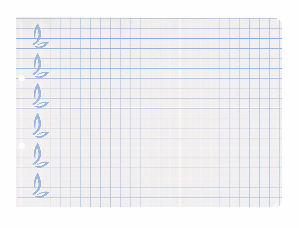 RECAMBIO LIDERPAPEL CUARTO APAISADO PAUTAGUIA 100 HOJAS 75 G CUADRICULADO PAUTADO 8MM CON MARGEN 2 TALADROS