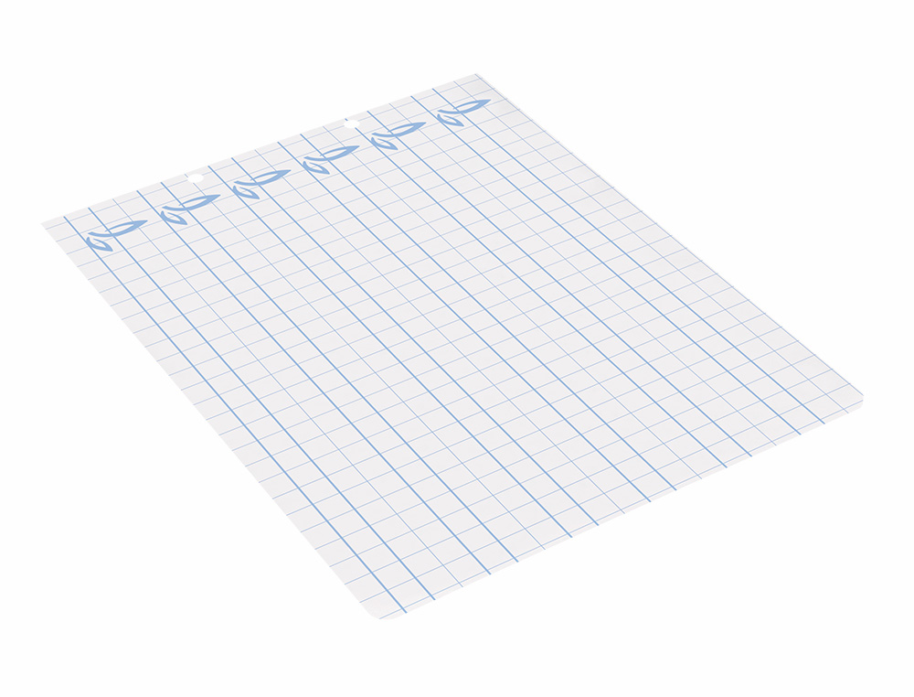 RECAMBIO LIDERPAPEL CUARTO APAISADO PAUTAGUIA 100 HOJAS 75 G CUADRICULADO PAUTADO 8MM CON MARGEN 2 TALADROS