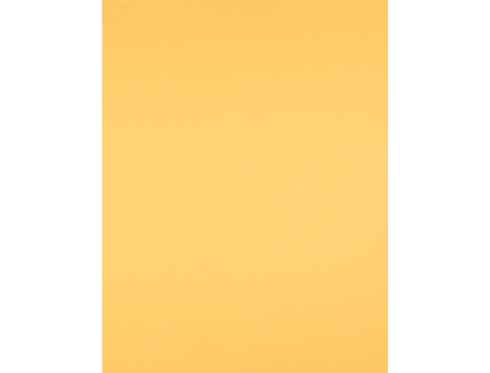 CARTULINA LIDERPAPEL 50X65 CM 180 GR ORO UNIDAD