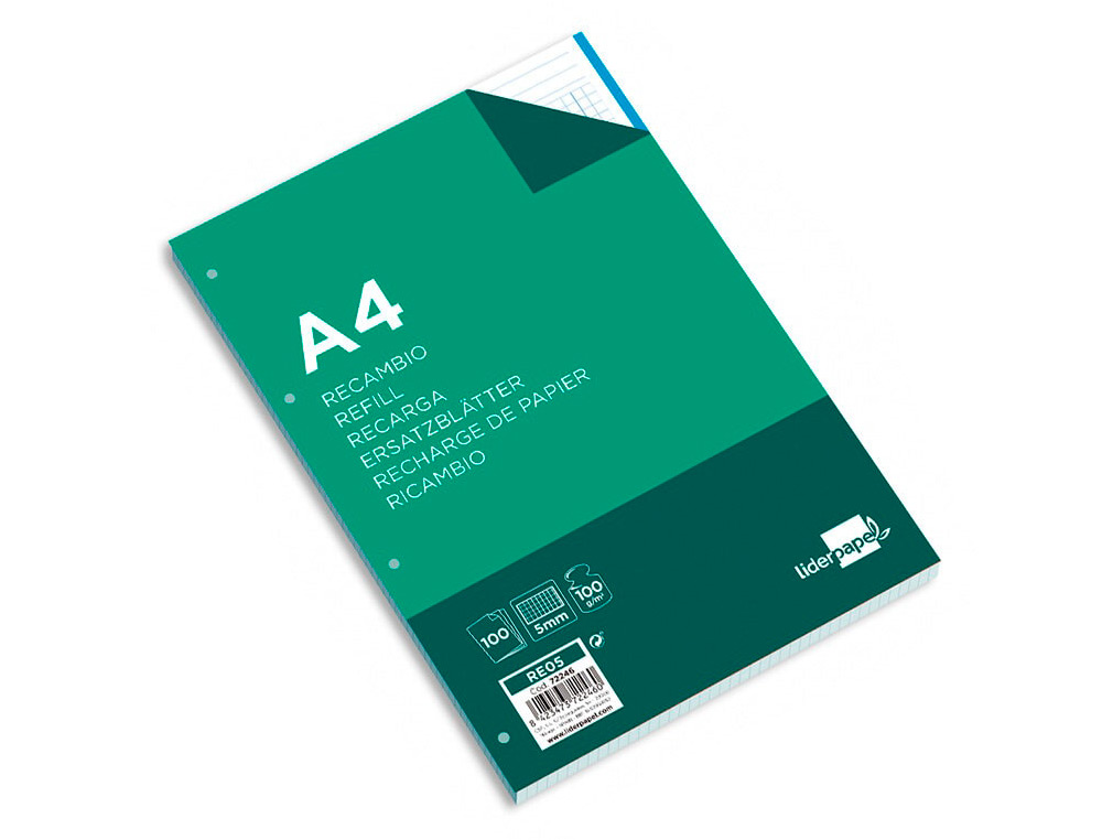RECAMBIO LIDERPAPEL A4 100 HOJAS 100 G/M2 CUADRO 5 MM 4 TALADROS BANDAS DE 5 COLORES