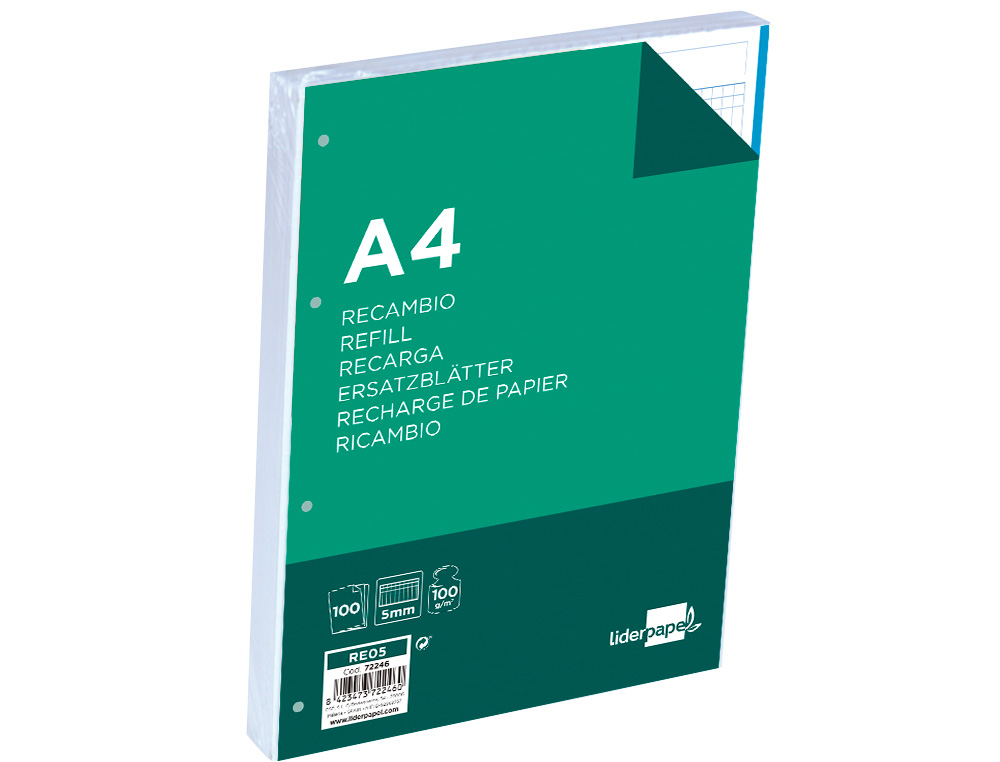 RECAMBIO LIDERPAPEL A4 100 HOJAS 100 G/M2 CUADRO 5 MM 4 TALADROS BANDAS DE 5 COLORES