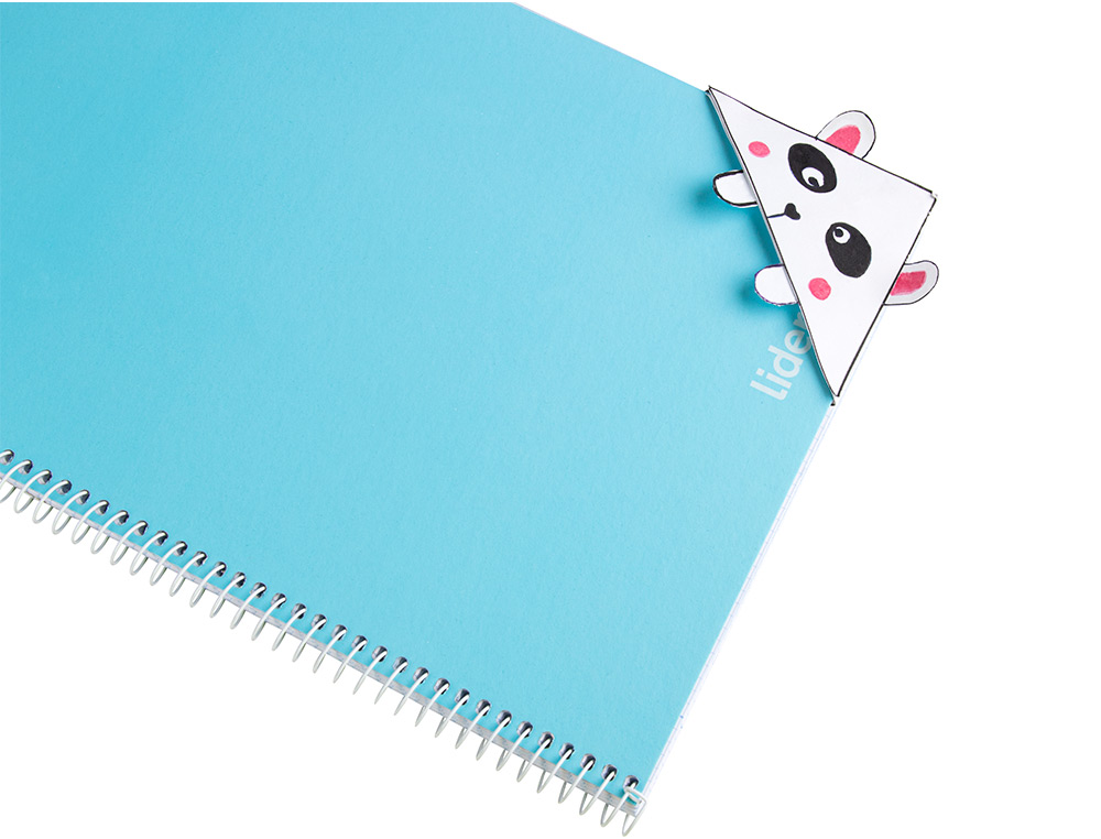 CARTULINA LIDERPAPEL 50X65 CM 180G/M2 BLANCO PAQUETE DE 25 HOJAS